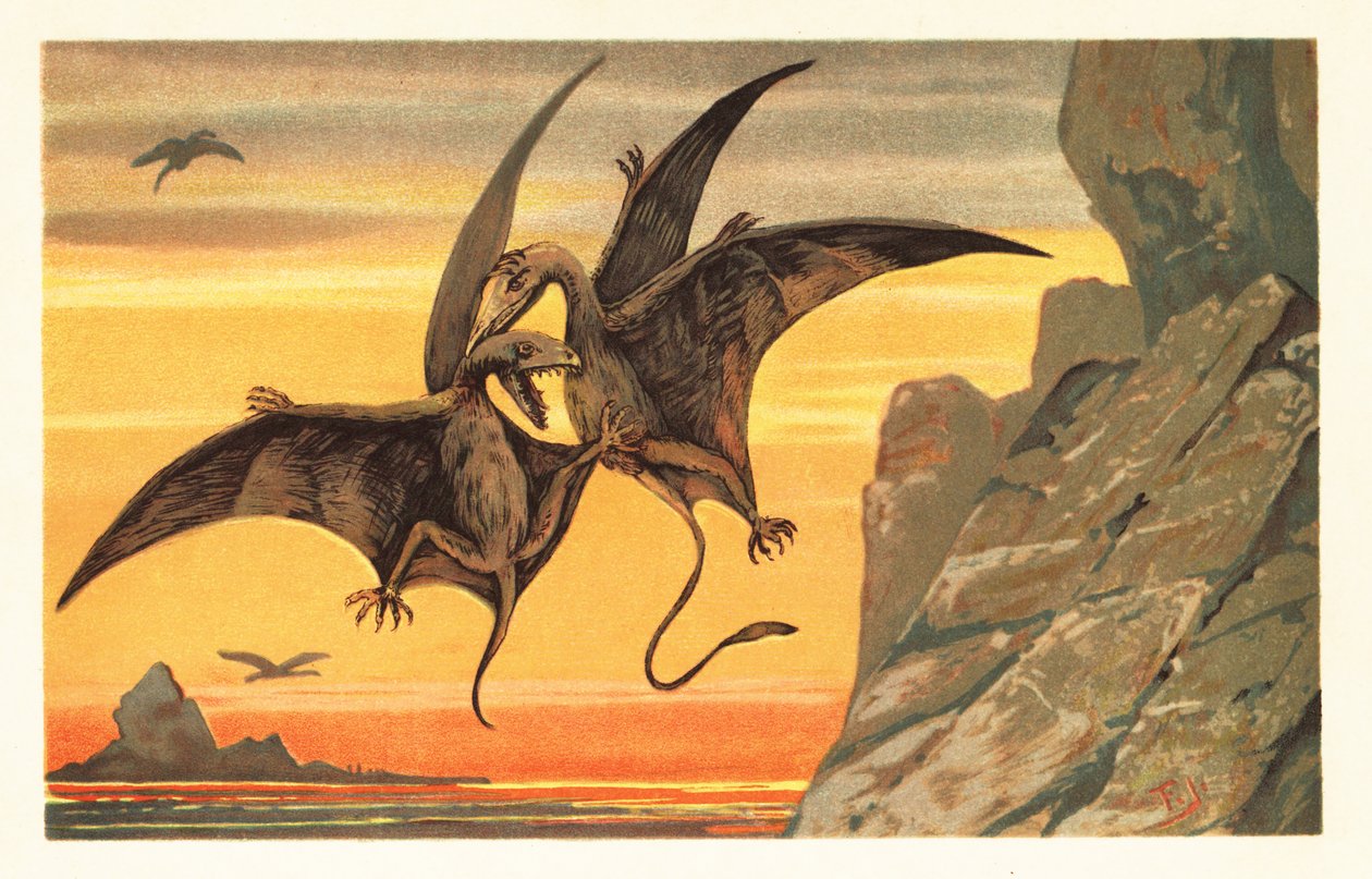 Két pterodaktilus harcol repülés közben a karmazsinvörös égbolt ellen.1908 (litográfia) alkotó: Unbekannter Künstler