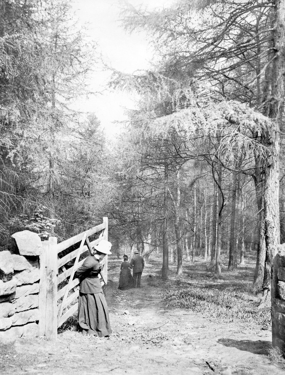 Egyesült Királyság: Eaton Woods, c1890 alkotó: Unbekannt