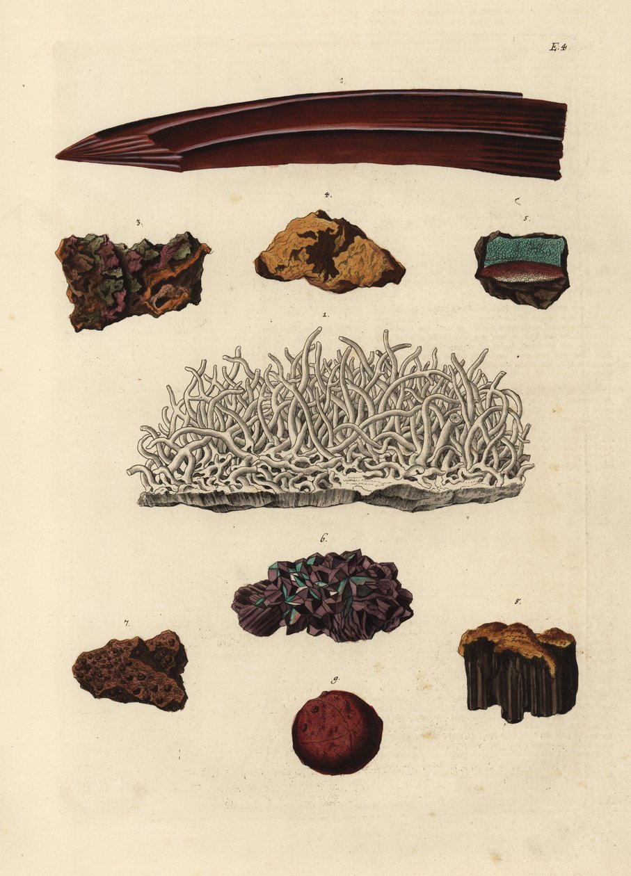 A vasérc fajtái. Kézi rézmetszet Georg Wolfgang Knorr Deliciae Naturae Selectae of Kabinet van Zeldzaamheden der Natuur című művének illusztrációja után, Blusse and Son, Nürnberg. alkotó: Unbekannter Künstler