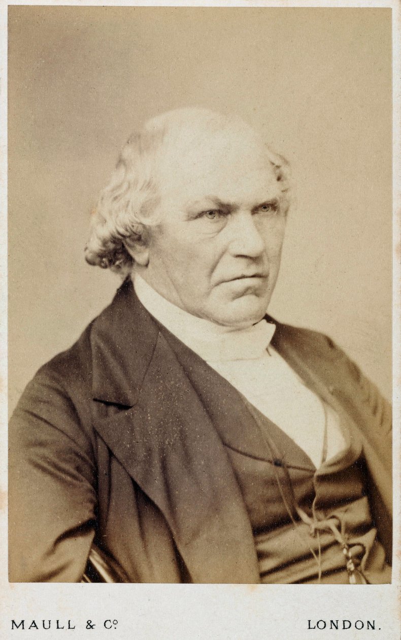 William Whewell, angol polihisztor, c 1866-1879 alkotó: Unbekannt