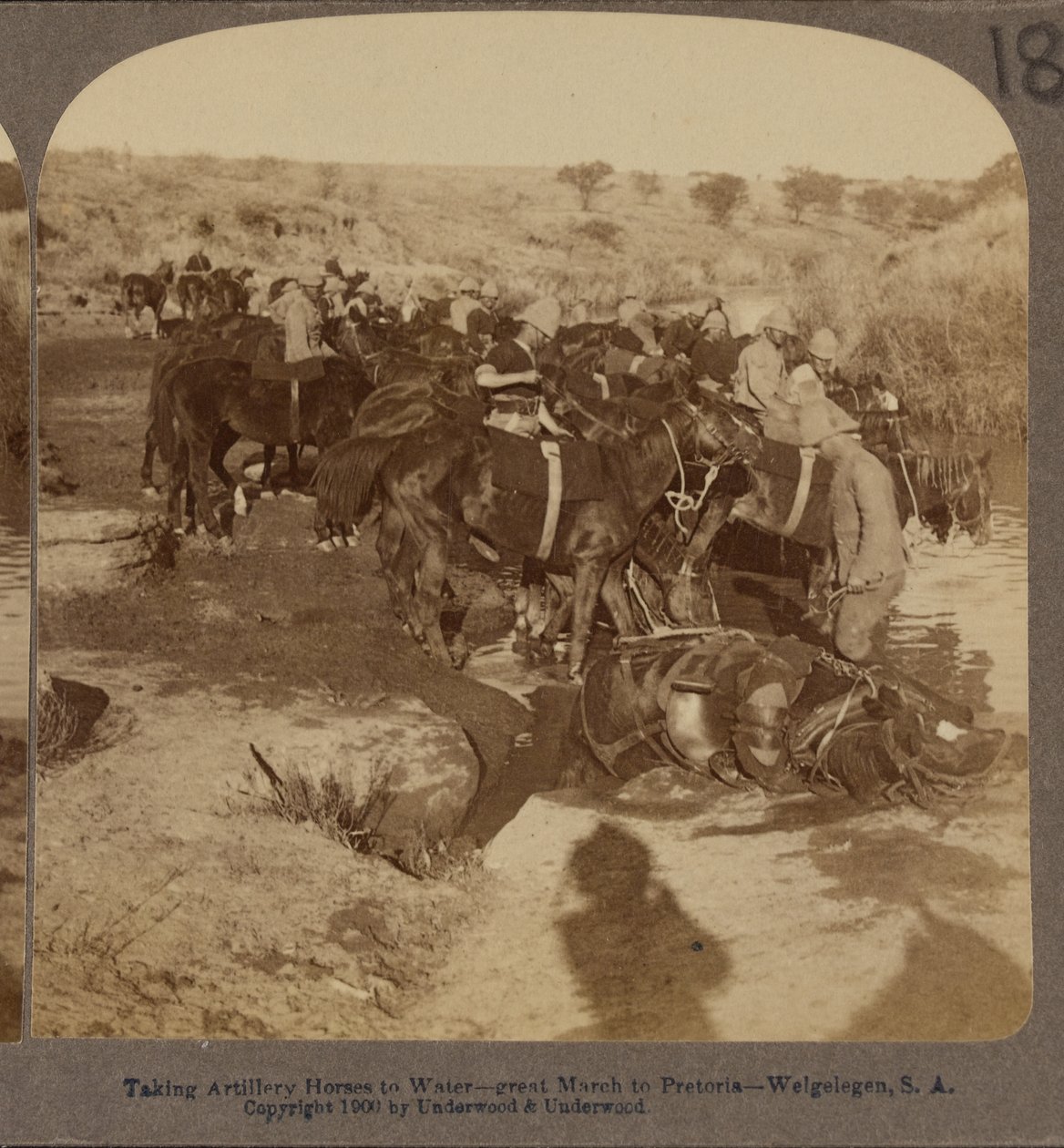 Tüzérségi lovak itatása, Welgelegen, Dél-Afrika alkotó: Underwood and Underwood