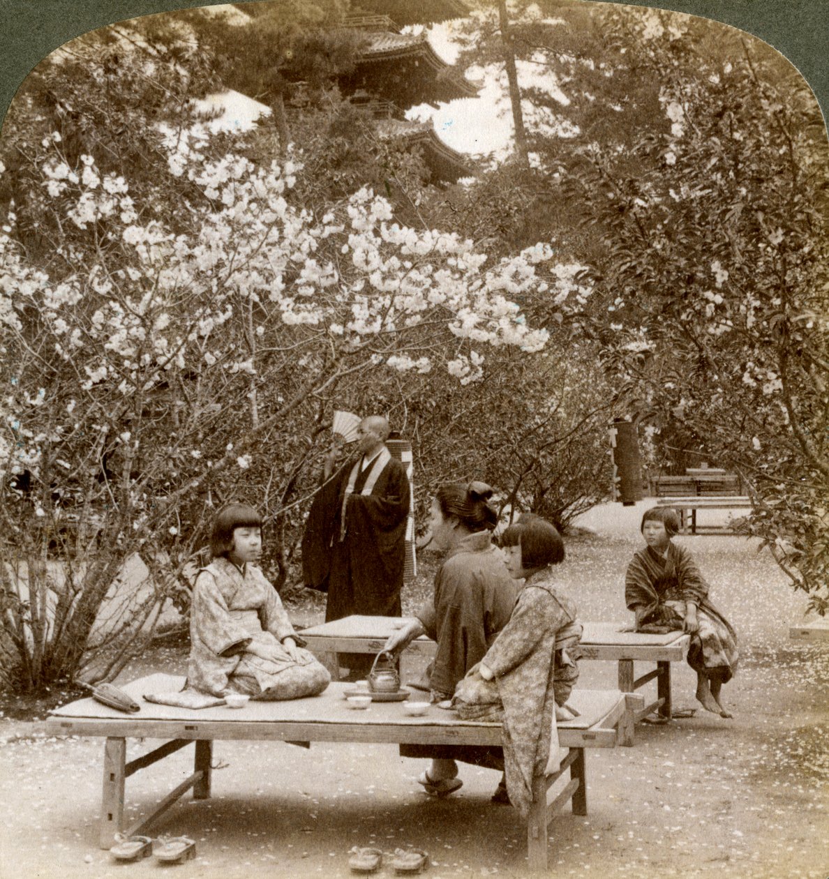 Egy család piknikezni a cseresznyevirágok alatt, Omuro Gosho, Kiotó, Japán, 1904. alkotó: Underwood and Underwood