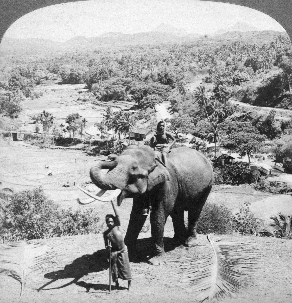Egy elefánt és tartója, Sri Lanka, 1902. alkotó: Underwood and Underwood