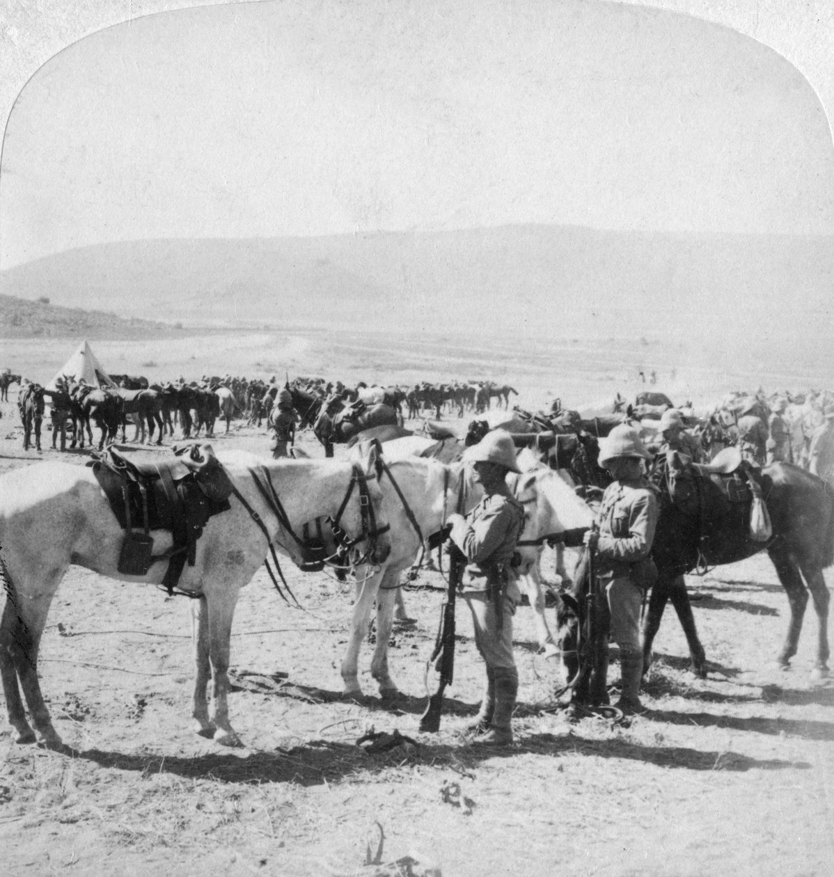Ausztrál lovas puskák a dél-afrikai Modder folyónál történt összecsapás után, 1900. január 12-én. alkotó: Underwood and Underwood