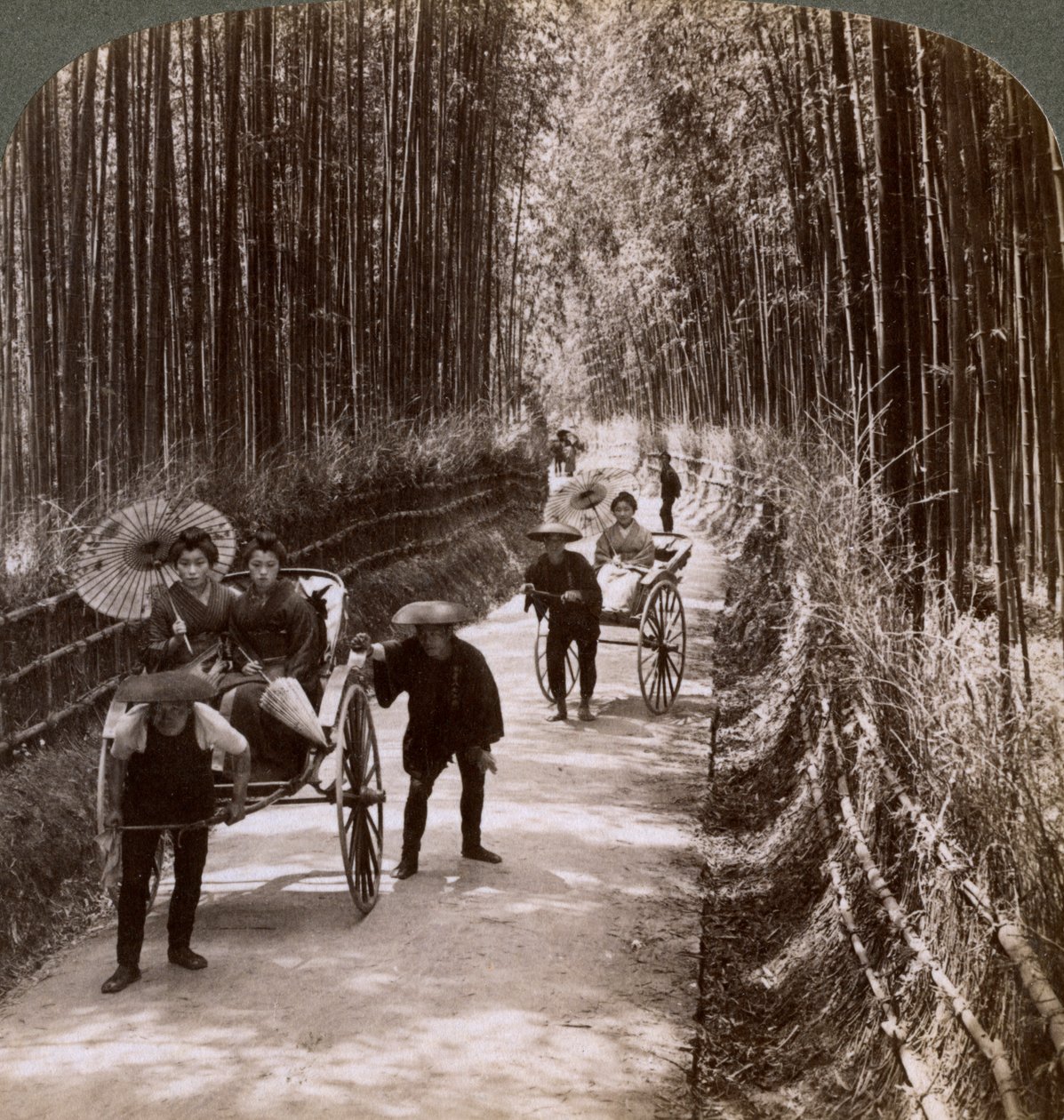 Bamboo Avenue, délnyugatra nézve, Kiyomizu közelében, Kyoto, Japán, 1904 alkotó: Underwood and Underwood