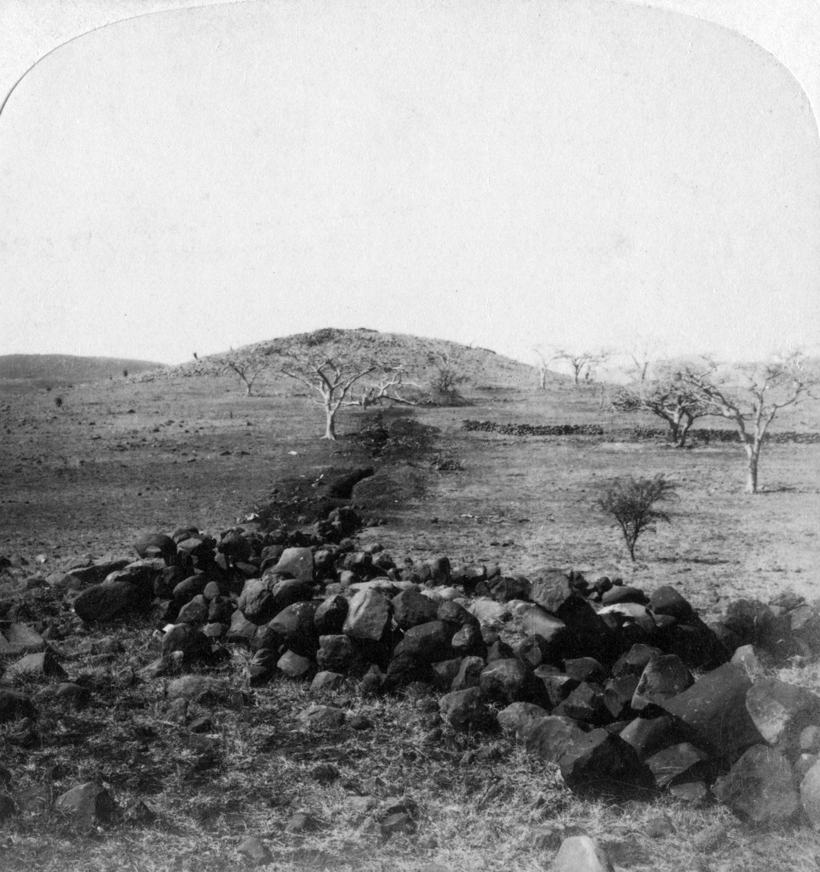 A búr árkok és a Harts Hill címere, az Ír Brigádok híres rohamának színhelye, Colenso, 1901 alkotó: Underwood and Underwood