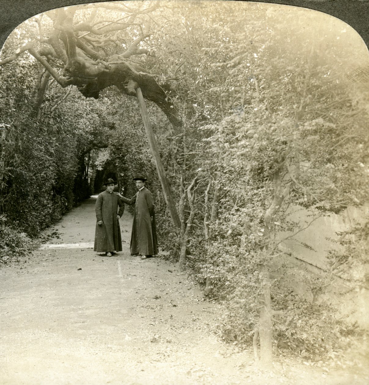 Bower of St Anthony, Vatikáni Kertek, Róma, Olaszország. alkotó: Underwood and Underwood