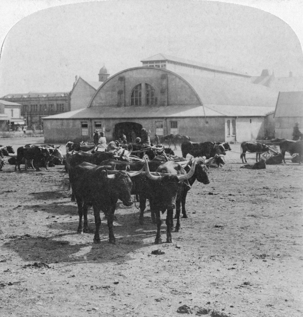 Épület, amelyben hadifoglyokat ítéltek meg, Pretoria, Dél-Afrika, búr háború, 1901 alkotó: Underwood and Underwood