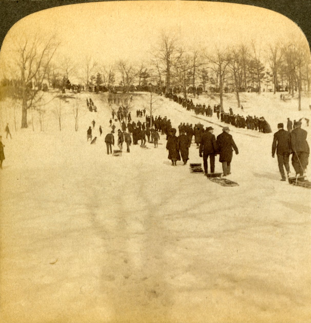 Kanadai téli sportok - szánkózás, 1905. alkotó: Underwood and Underwood
