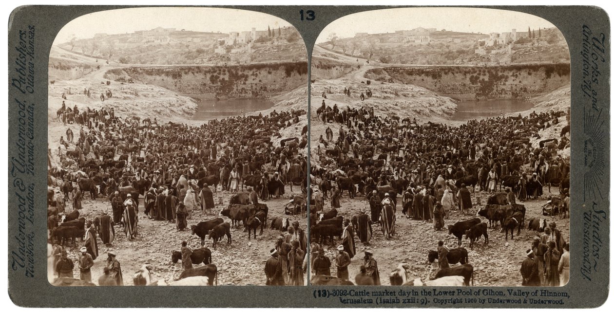 Marhapiac napja, Gihon alsó medencéjében, Hinnom-völgy, Jeruzsálem, Palesztina, 1900. alkotó: Underwood and Underwood