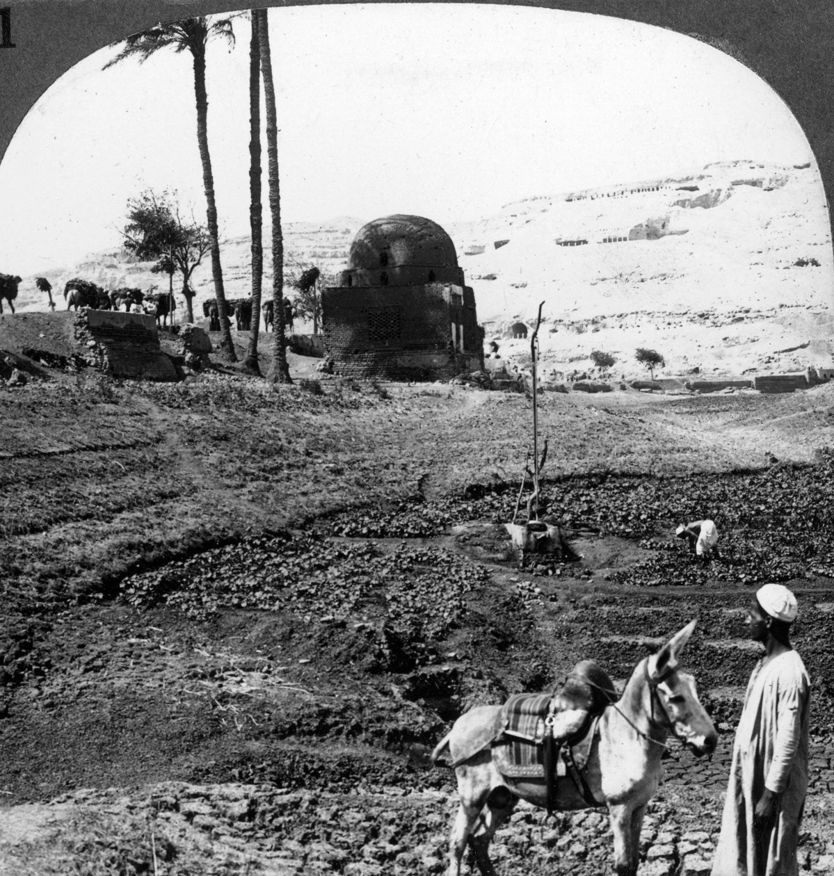 Assiut urainak sziklasírjai, Egyiptom, 1905. alkotó: Underwood and Underwood