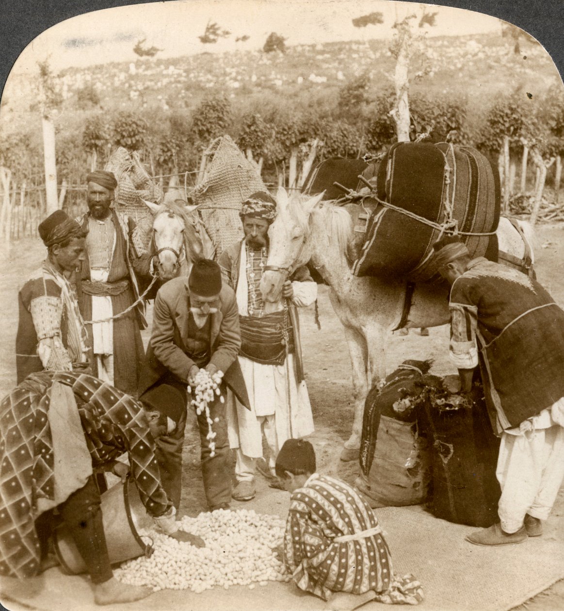 Szakértők selyemgubókat vásárolnak Franciaországba, Antiochiába, Szíriába, 1900-as évek exportra. alkotó: Underwood and Underwood