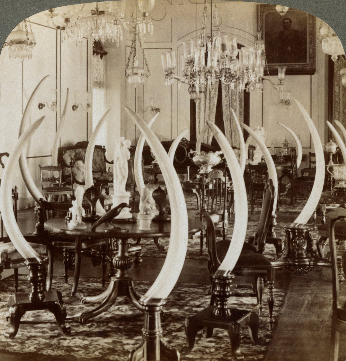 Hall of Tusks, Lady de Soysa otthonában, Bambalapitiya, Colombo, Ceylon, 1903 alkotó: Underwood and Underwood
