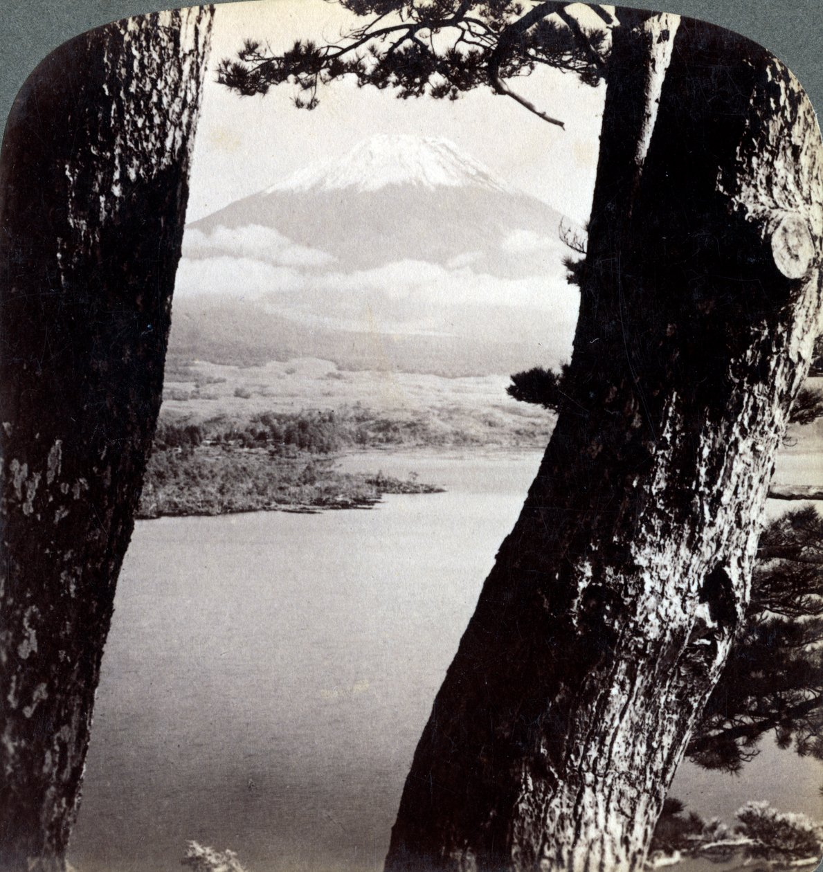 A Fuji-hegy északnyugat felől nézve, fenyőkön keresztül a Motosu-tónál, Japán, 1904 alkotó: Underwood and Underwood