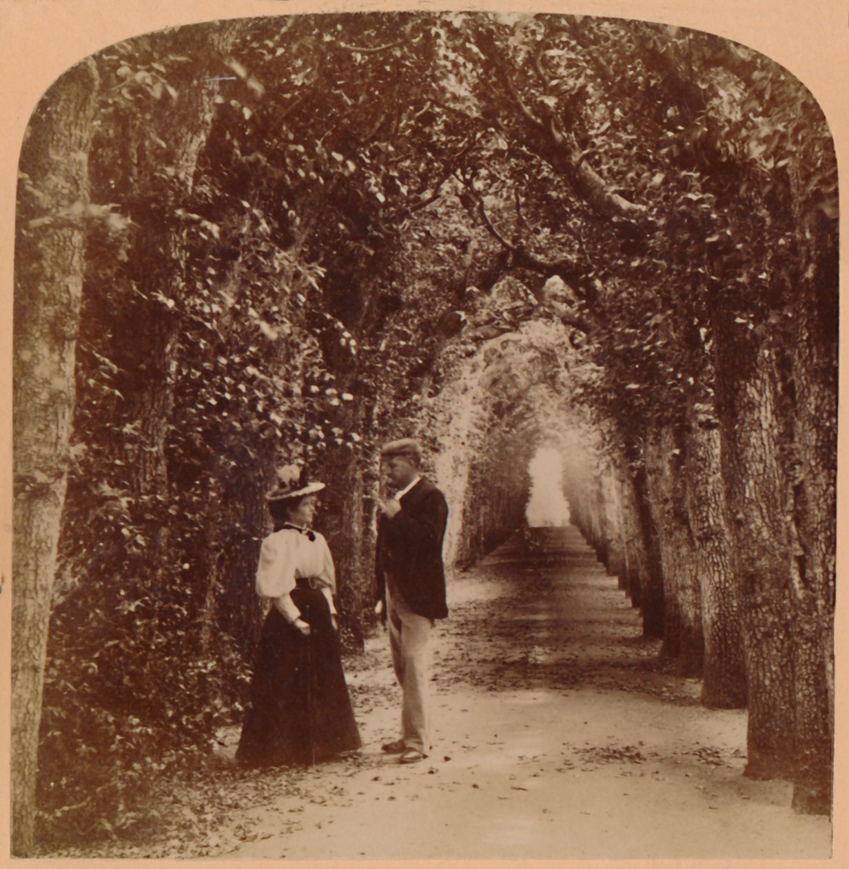 Queen Marys Bower, Hampton Court, London, Anglia, 1896. alkotó: Underwood and Underwood