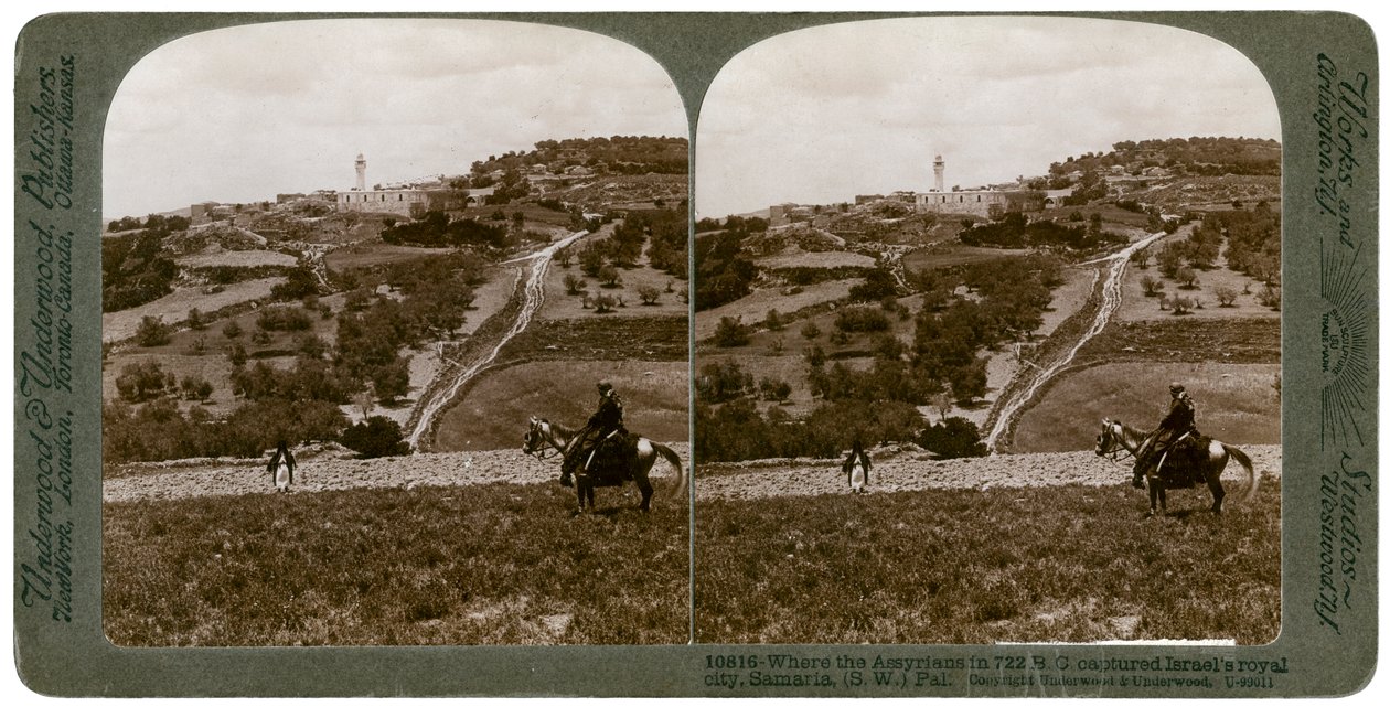 Szamária, Palesztina délnyugati része, 1900-as évek. alkotó: Underwood and Underwood