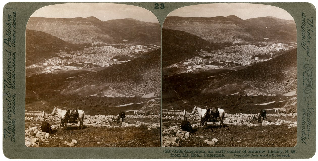 Sekem, az Ebal-hegytől délnyugatra, Palesztina, 1900-as évek. alkotó: Underwood and Underwood
