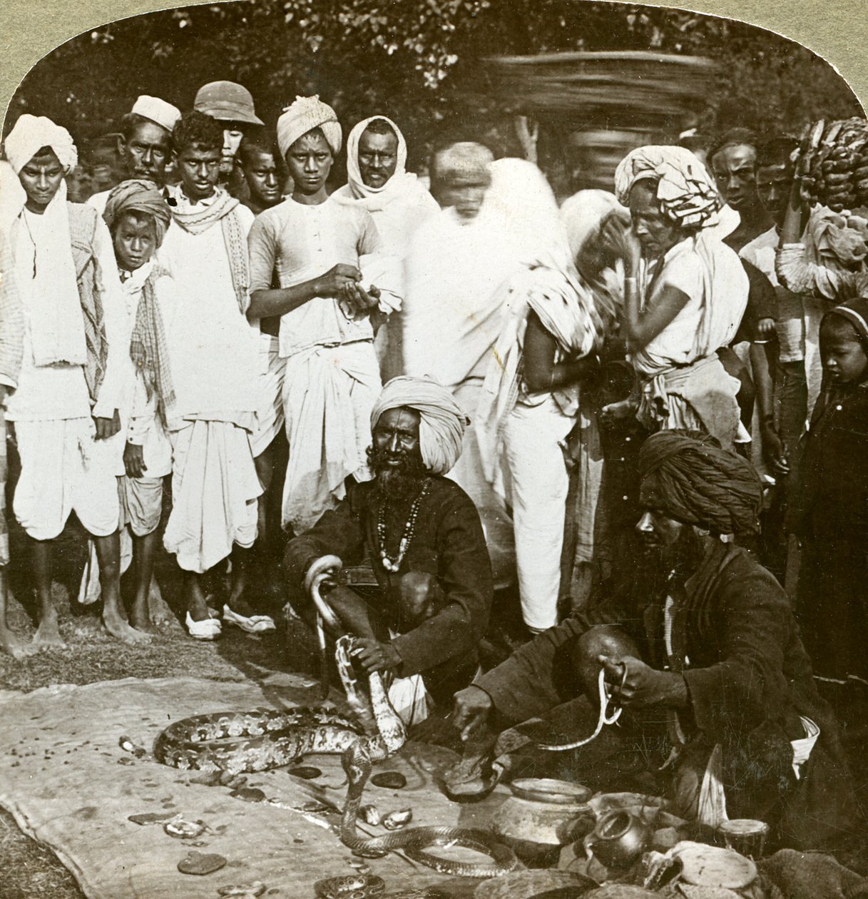 Kígyóbűvölő, Kalkutta, India, 1900-as évek. alkotó: Underwood and Underwood