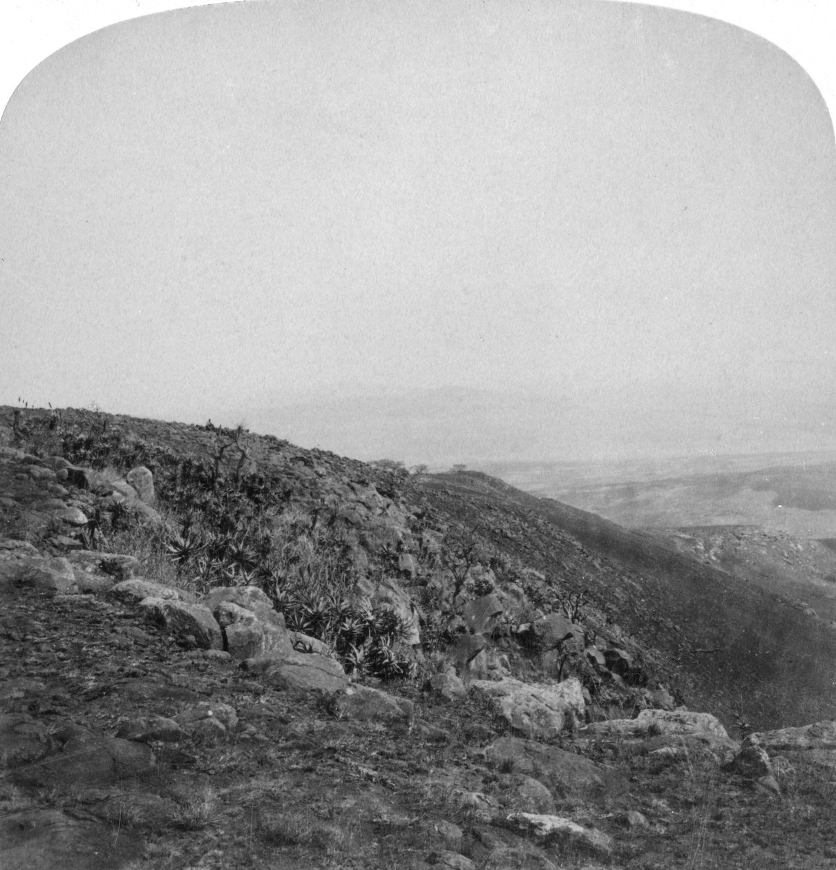 Spion Kop déli lejtője, Dél-Afrika, búr háború, 1901. alkotó: Underwood and Underwood