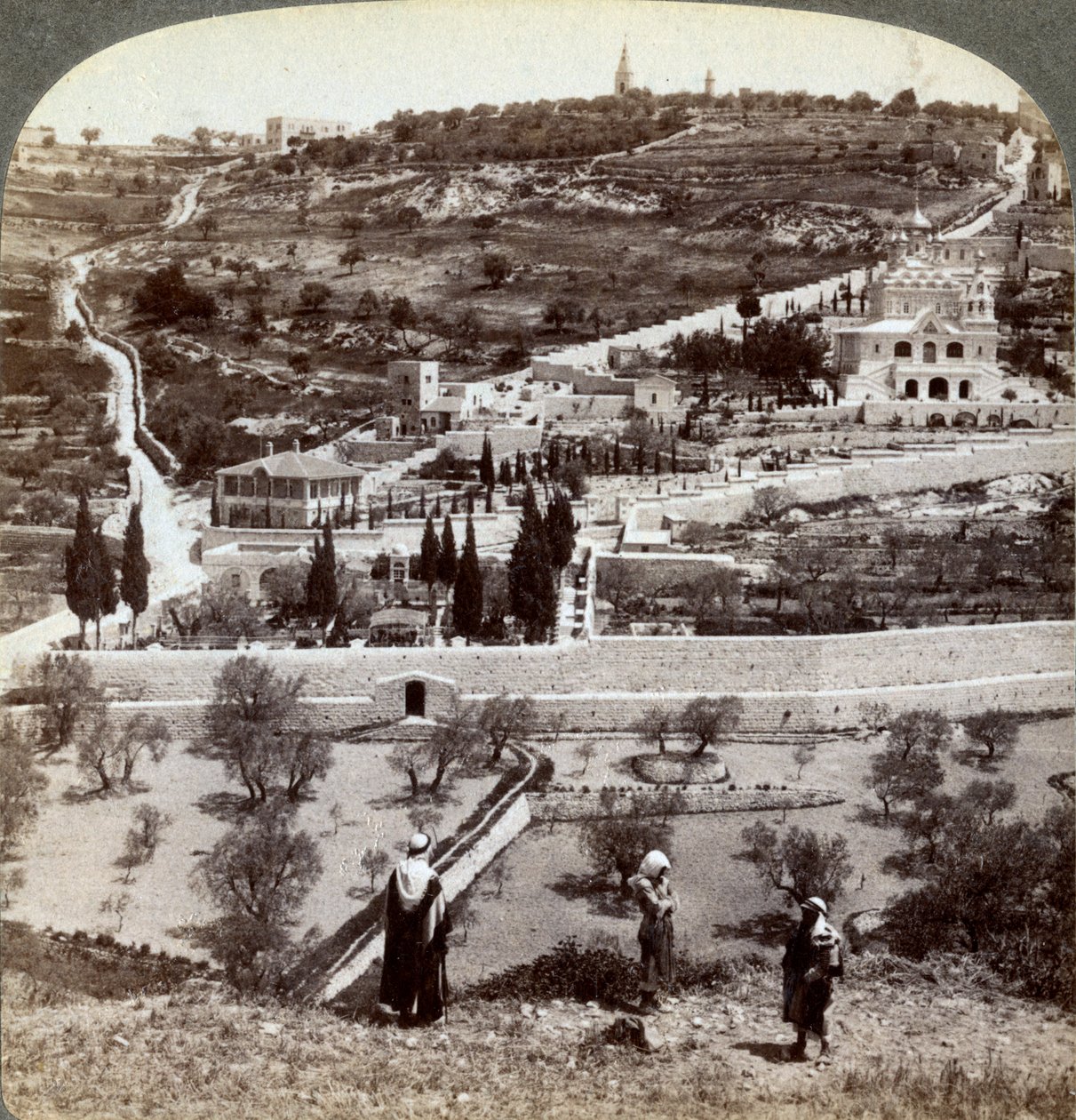 A Gecsemáné kertje és az Olajfák hegye, Palesztina, 1908. alkotó: Underwood and Underwood