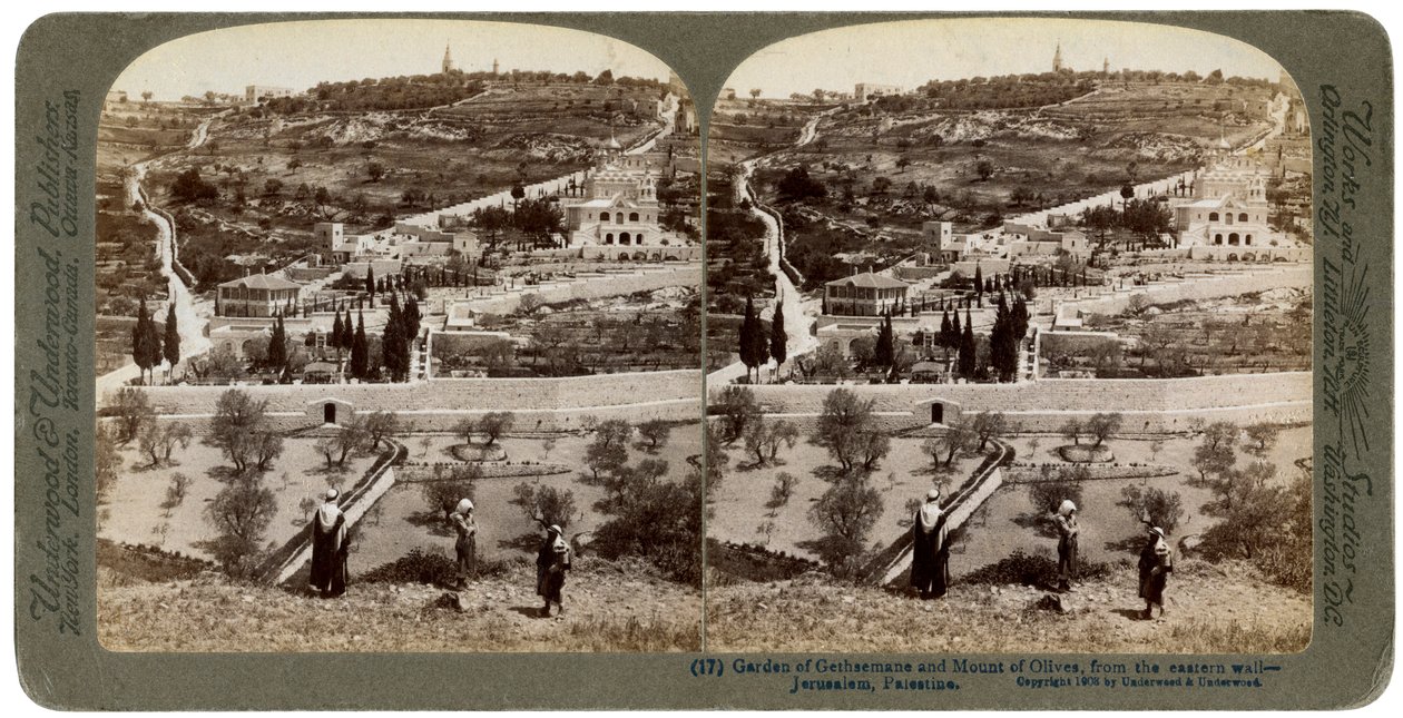 A Gecsemáné kertje és az Olajfák hegye, Palesztina, 1908. alkotó: Underwood and Underwood