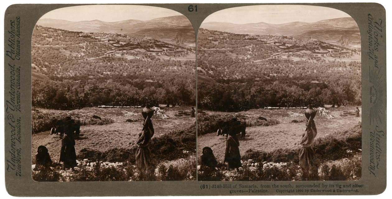 Samária dombja délről, füge- és olajfaligetekkel körülvéve, Palesztina, 1900. alkotó: Underwood and Underwood