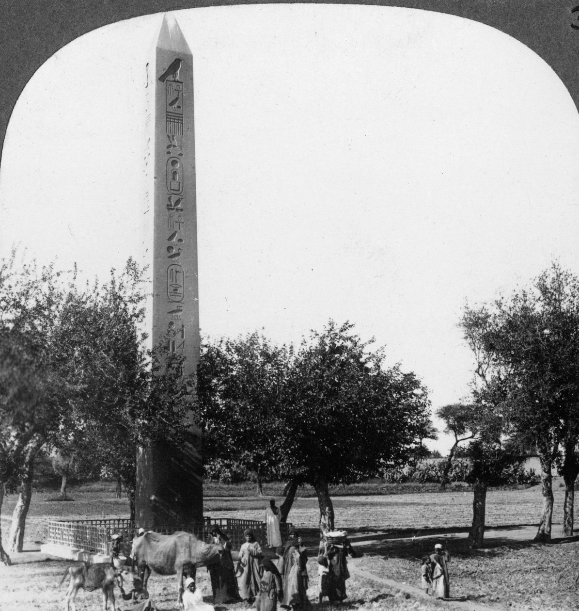 Heliopolis obeliszkje, Egyiptom, 1905. alkotó: Underwood and Underwood