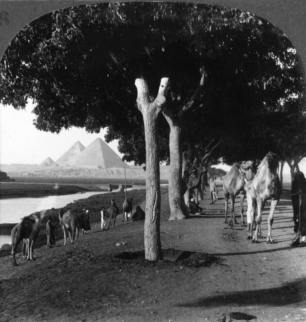 Út a piramisokhoz, Giza, Egyiptom, 1905. alkotó: Underwood and Underwood