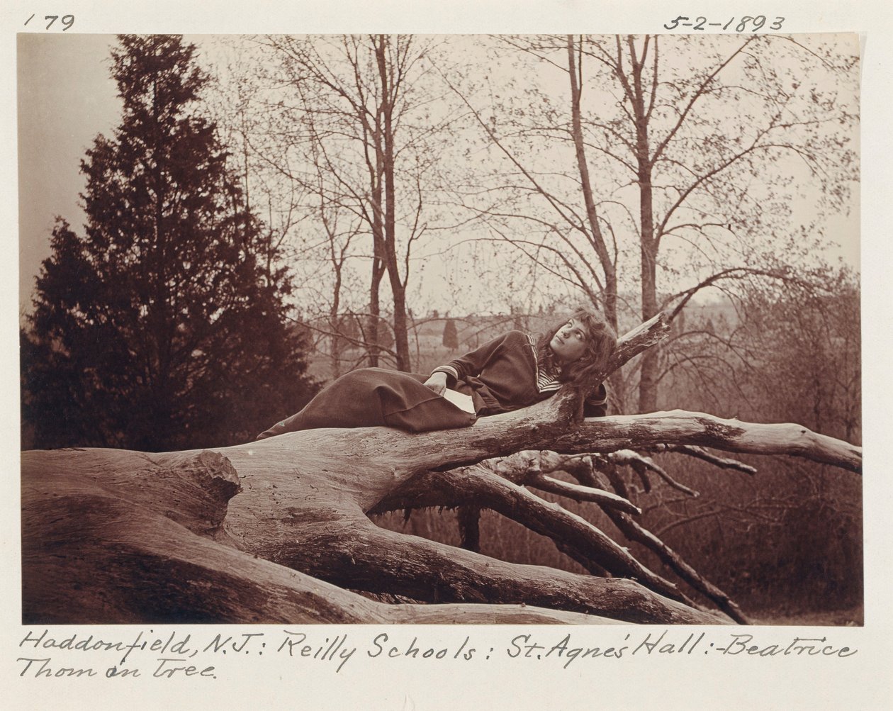 [Beatrice Thom a fán, Haddonfield, New Jersey] alkotó: Unidentified