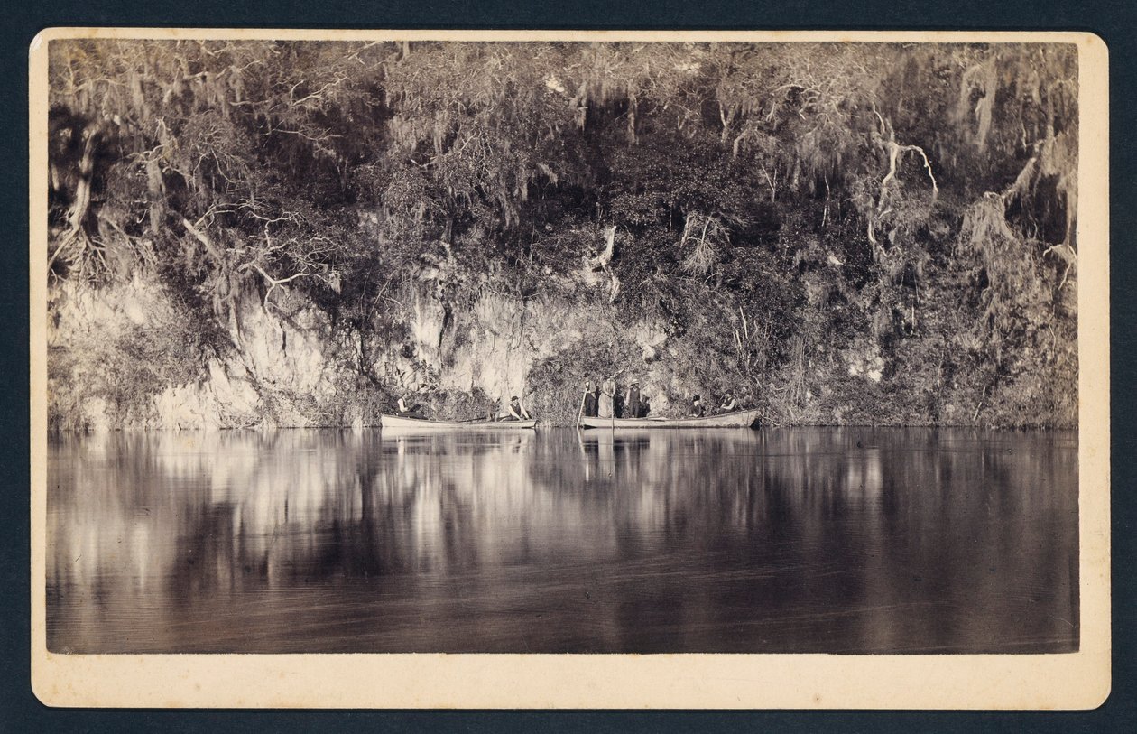 [A Withlacoochee folyó partja alatt, Florida] alkotó: Unidentified