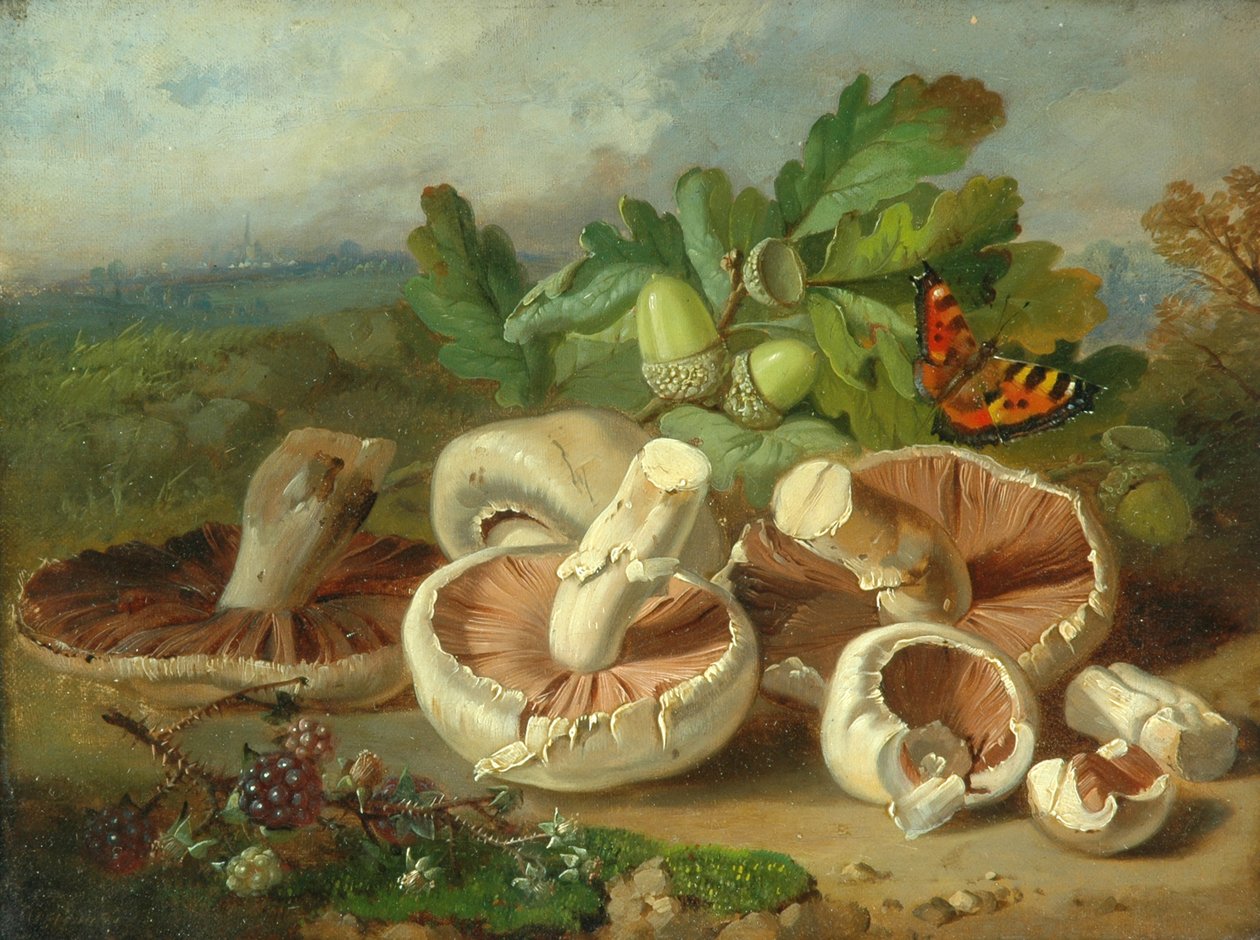 Csendélet gombával stb., 1859 alkotó: Unknown