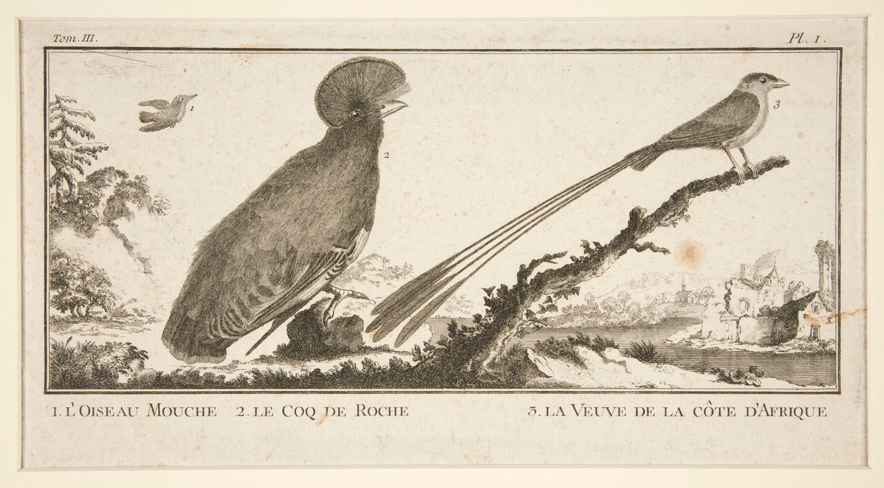 1. L alkotó: Unknown