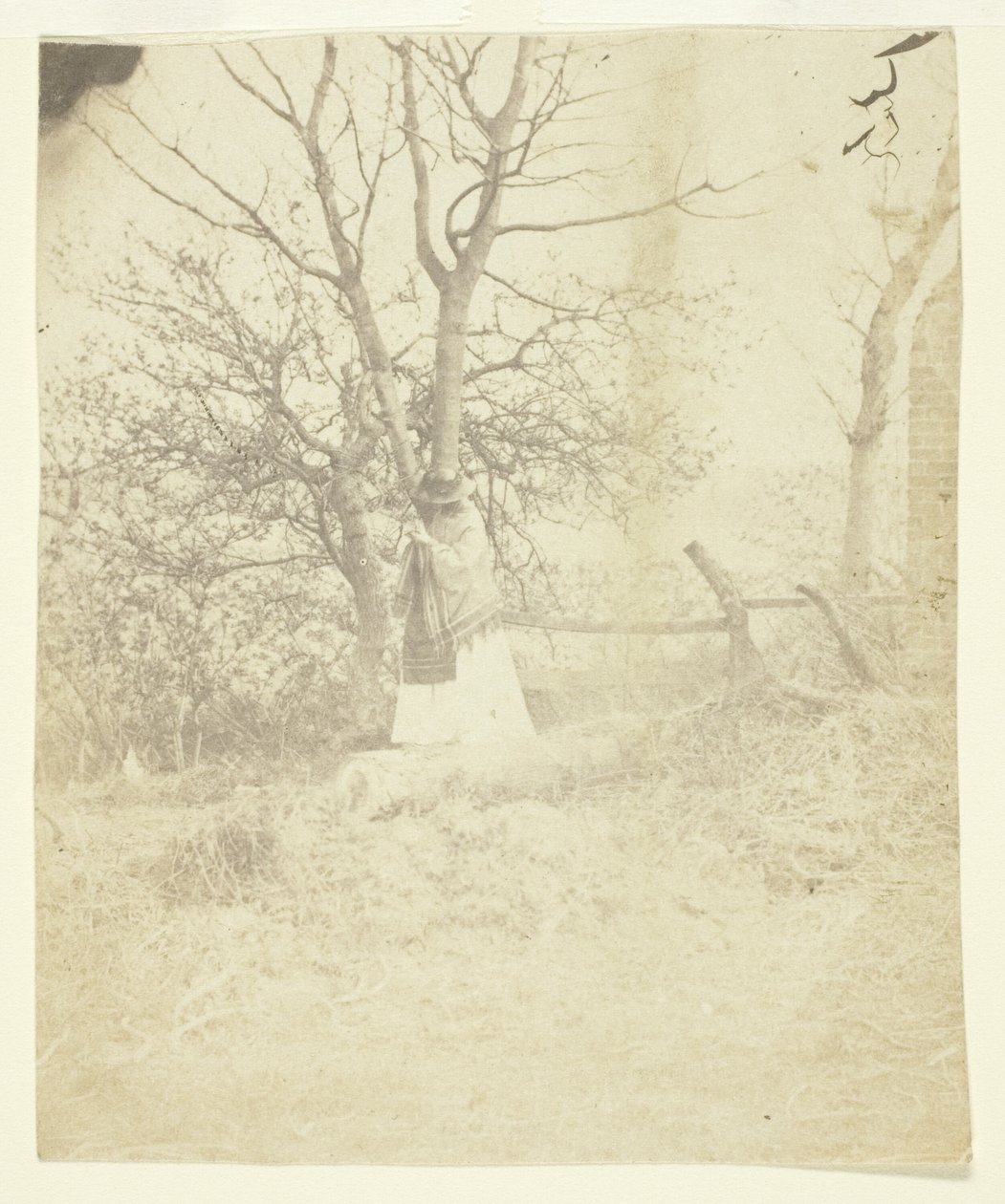 Mrs. Craik alkotó: Unknown