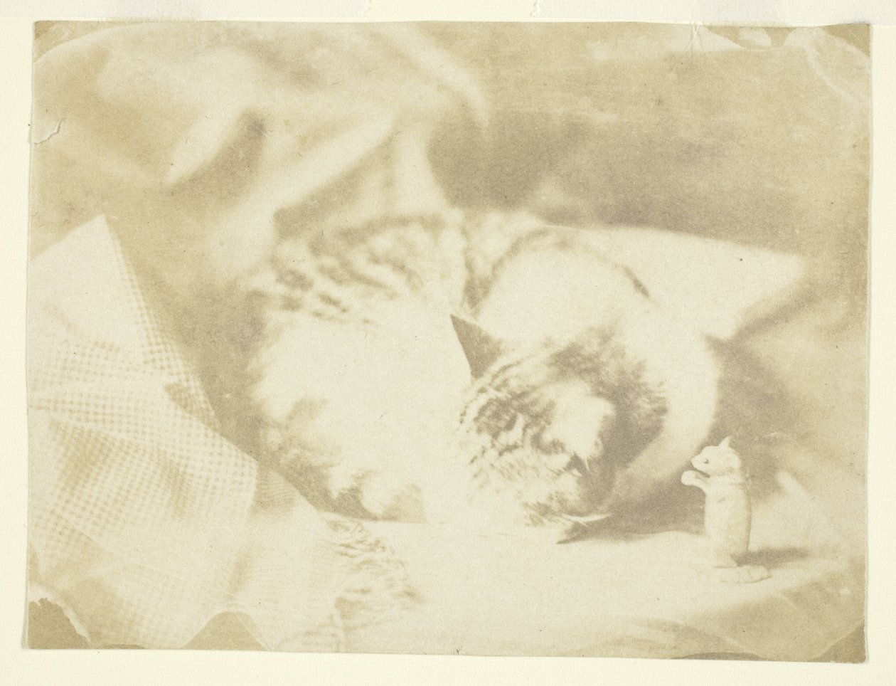 Mrs. Craik macskája alkotó: Unknown