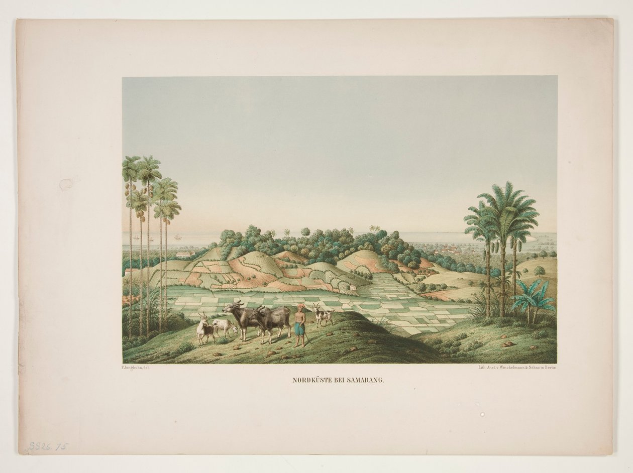 Samarang északi partja alkotó: Unknown