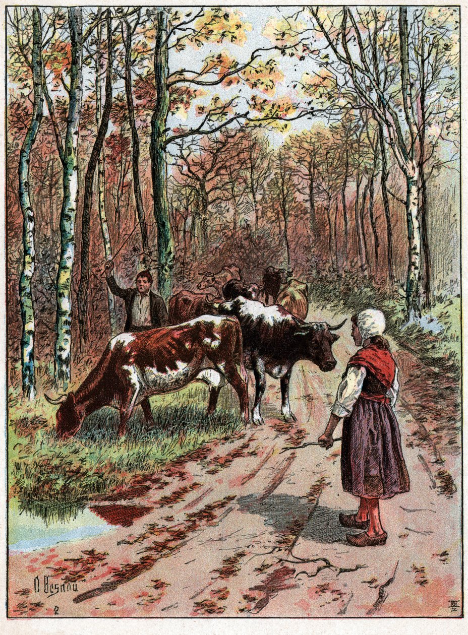 Tehéncsorda. Tehéncsorda. alkotó: Unknown