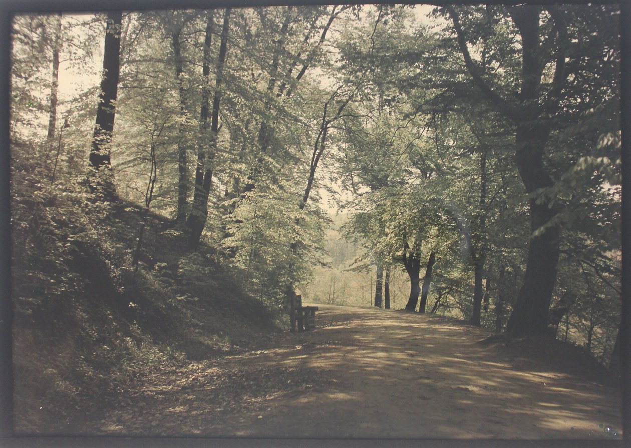 Névtelen alkotó: Unknown