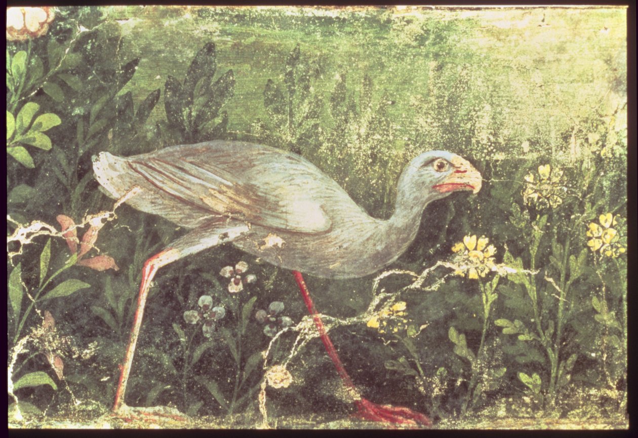 Falfestmény egy szultán csirke a kertben, Pompeii, 1. században alkotó: Unknown