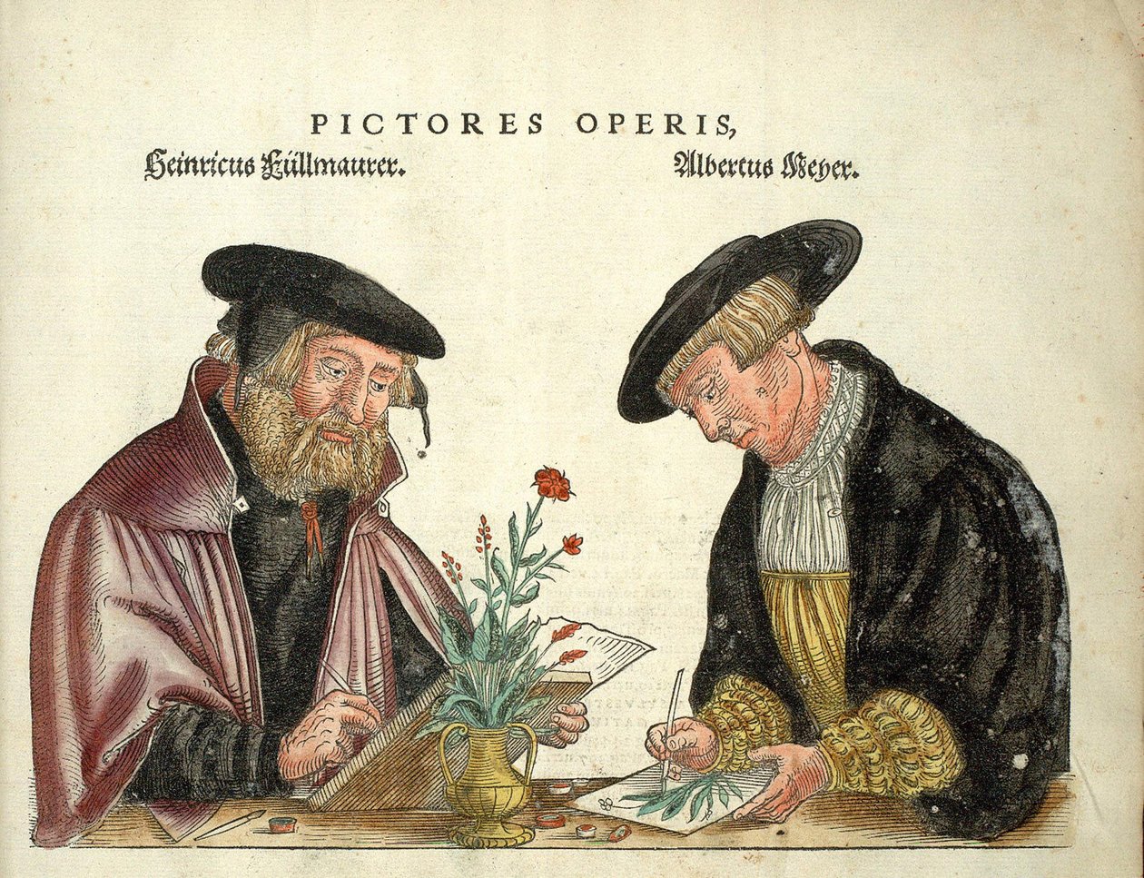 2 művész, aki illusztrálta a könyvet, Albert Meyer és Veit Rudolph Speckle, "" De Historia Stirpium commentarii insignia,..." - Leonhart Fuchs alkotó: Unknown artist