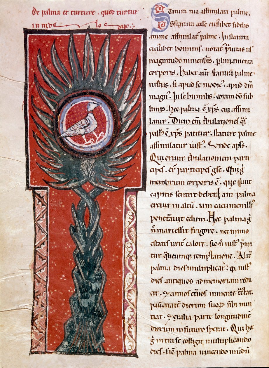 Egy pálmafában fészket rakó galamb (miniatűr alkotó: Unknown artist
