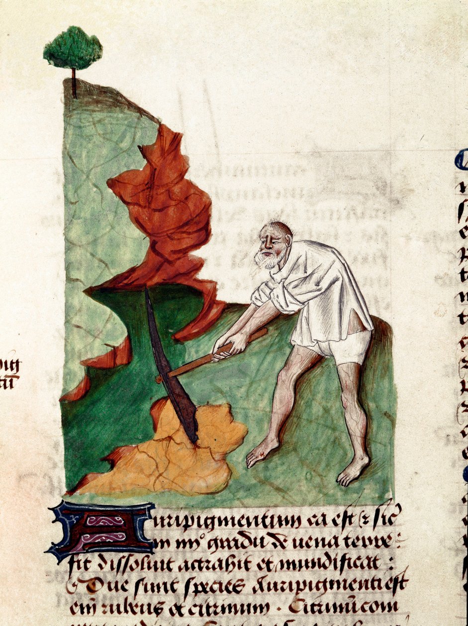 Egy aranykereső Pedanius Dioscorides (Dioscorides) (Kr. u. 40-90) „Fogyók kezelése” (Tractatus de herbs) kéziratának oldala, Lat.1152 alkotó: Unknown artist