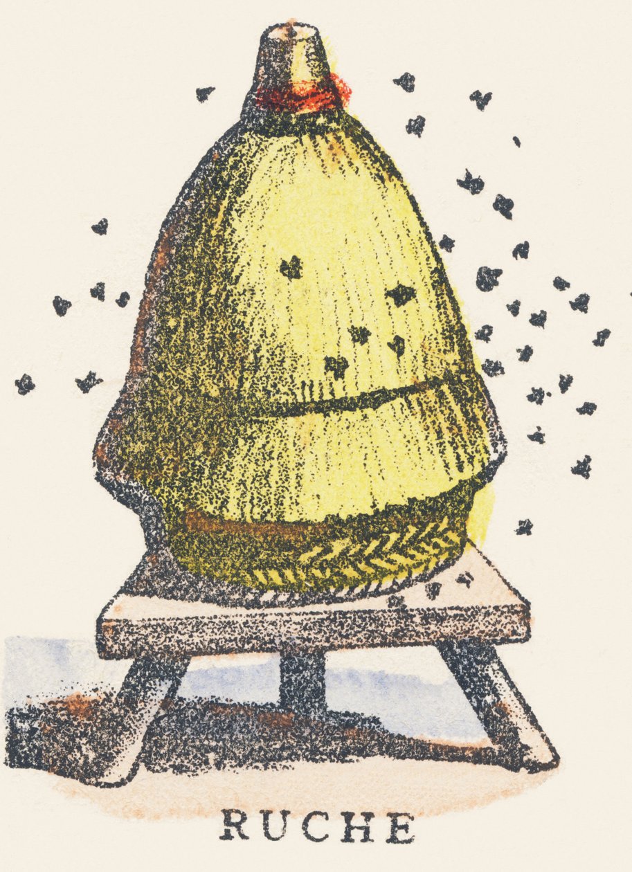 V: kaptár alkotó: Unknown artist