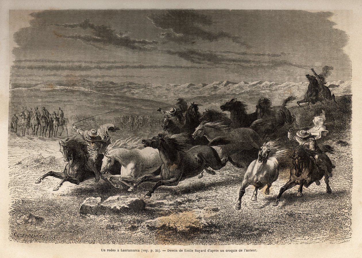 A Lauramarca-i (Alsó-Peru) rodeó, a vadlovak befogása, a régió tulajdonosának kezdőbetűivel ellátott vasjelzésük előtt, teljes látványosságnak számítva, sok badaud gyűlt össze. Metszet a Quinquin völgyeiben tett utazás illusztrálására alkotó: Unknown artist