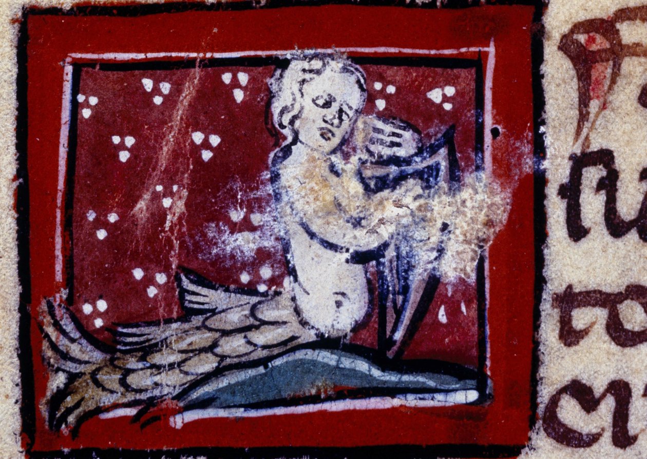 Szirén – a 14. század bestiáriuma. Milánó, Library Trivulziana. alkotó: Unknown artist