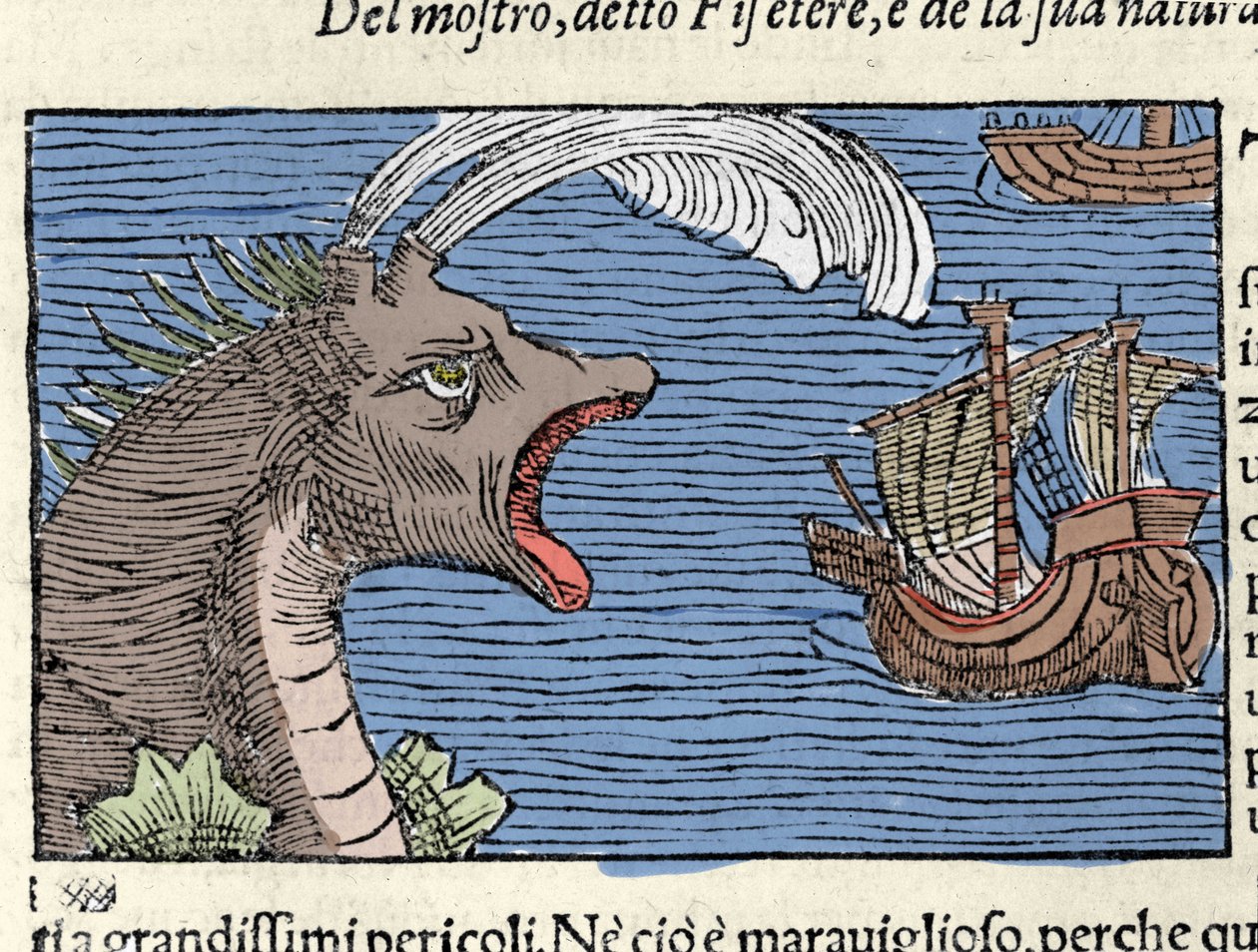 Egy sperma bálna (?) (fizéter) megtámad egy hajót. Olaus Magnus (1490 - 1557) svéd vallás- és földrajztudós metszete, „Historia de Gentis Septentrionalibus”, Velence alkotó: Unknown artist