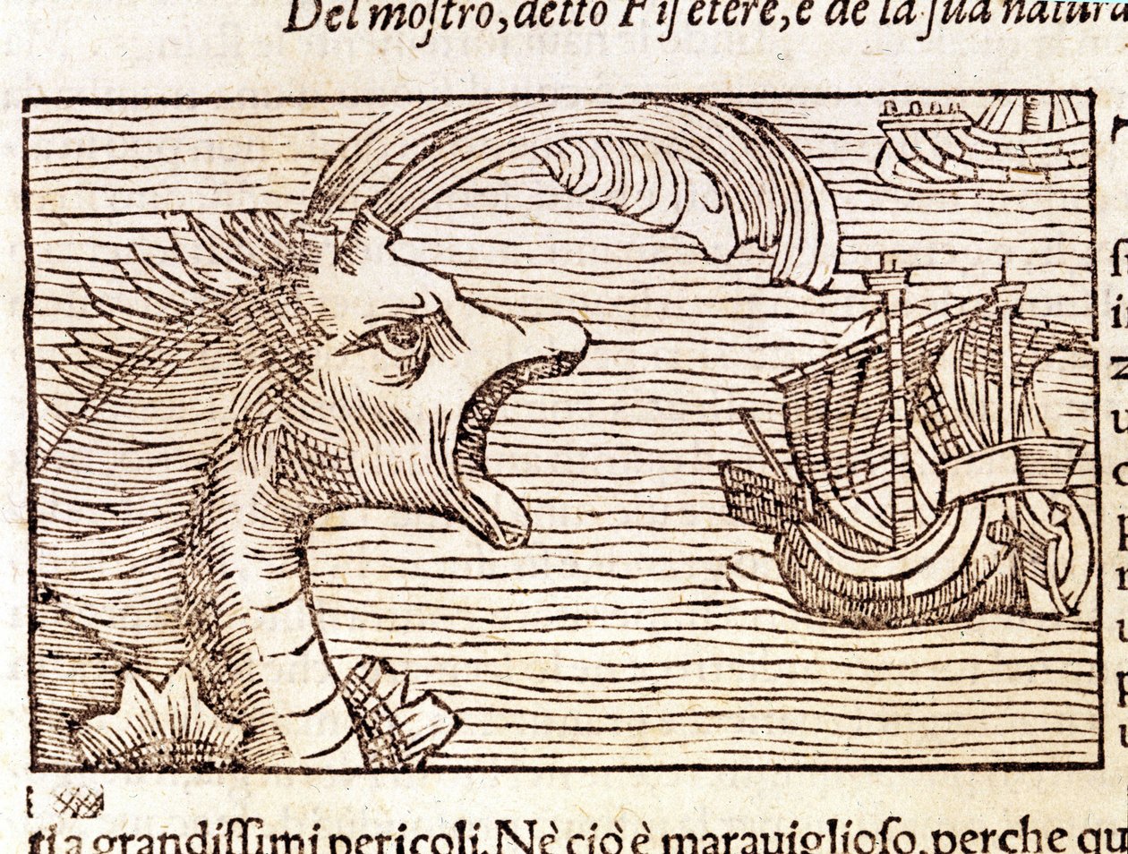 Egy sperma bálna (?) (fizéter) megtámad egy hajót. Olaus Magnus (1490 - 1557) svéd vallás- és földrajztudós metszete, „Historia de Gentis Septentrionalibus”, Velence alkotó: Unknown artist