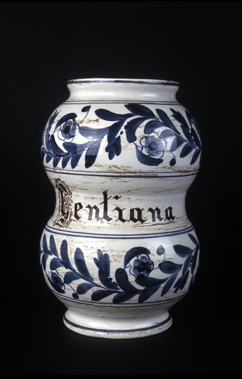 Albarelle: egykori 16. századi gyógyszertári váza tárnicssal. Tudományos és Technológiai Múzeum, Milánó. alkotó: Unknown artist
