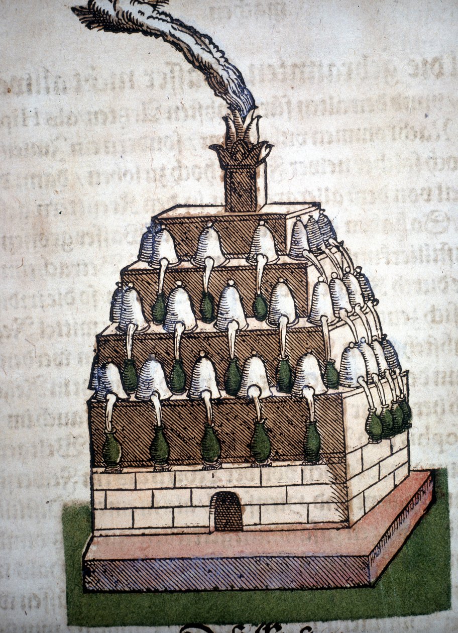 Alkímia: az Athanor négyes Pietro Andrea Mattioli (Matthiole) (1500-1577) könyvéből. Frankfurt alkotó: Unknown artist