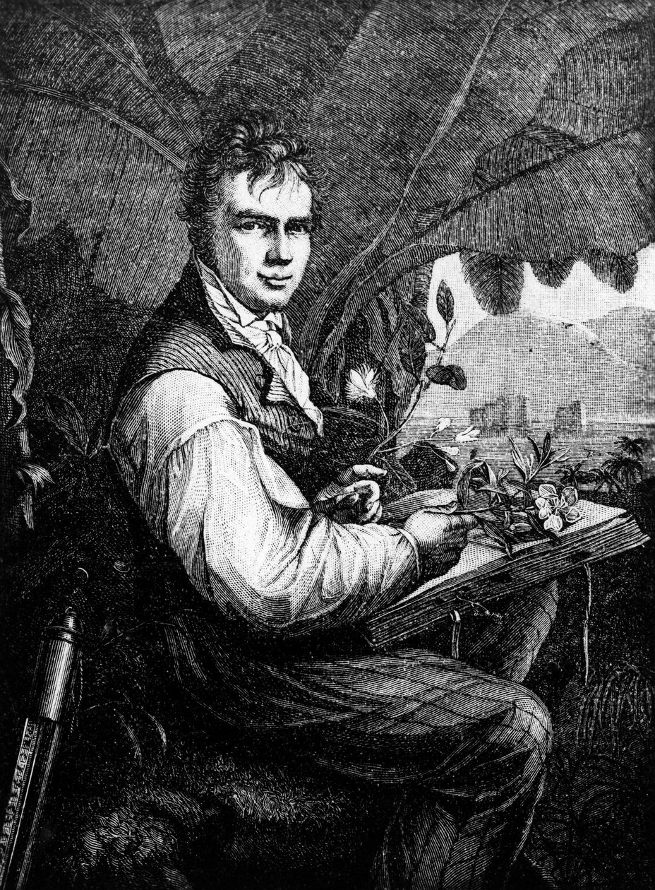 Alexander Von Humboldt (Alexander de Humboldt alkotó: Unknown artist