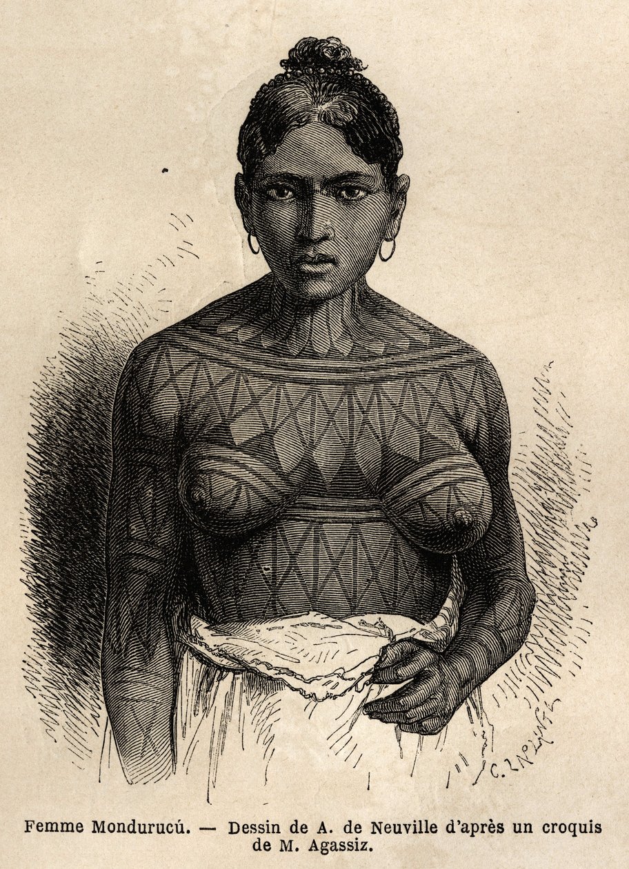Mondurucu (vagy Mundurucu) indián nő, Para állam törzse, a Tapajos folyó vidékén alkotó: Unknown artist
